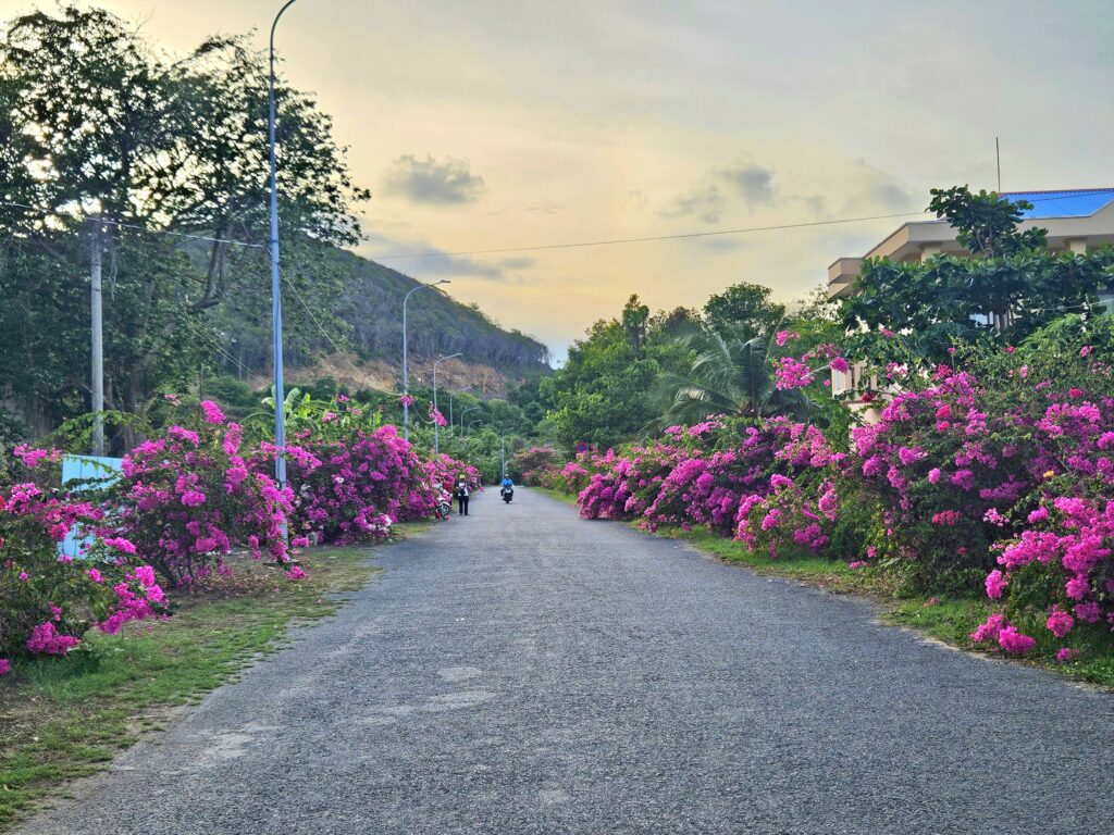 du lịch nhà bè côn đảo